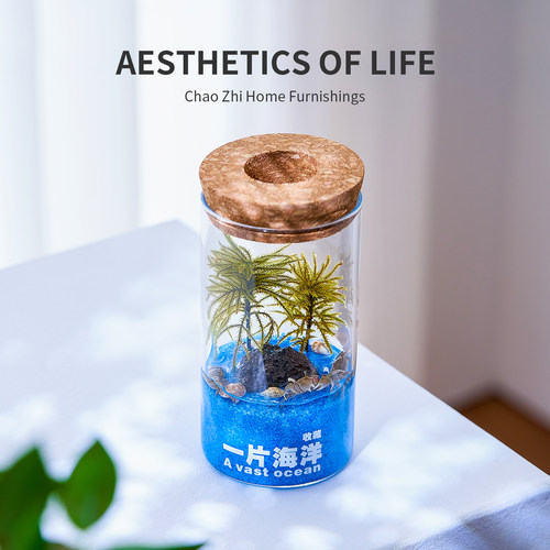 拥有一片海洋微景观摆件水培植物