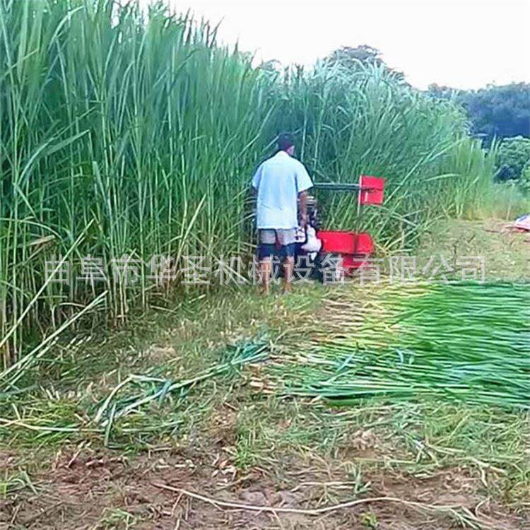 玉米草象草收割机 手推式高秆芦苇割晒机 1米宽幅割杆机