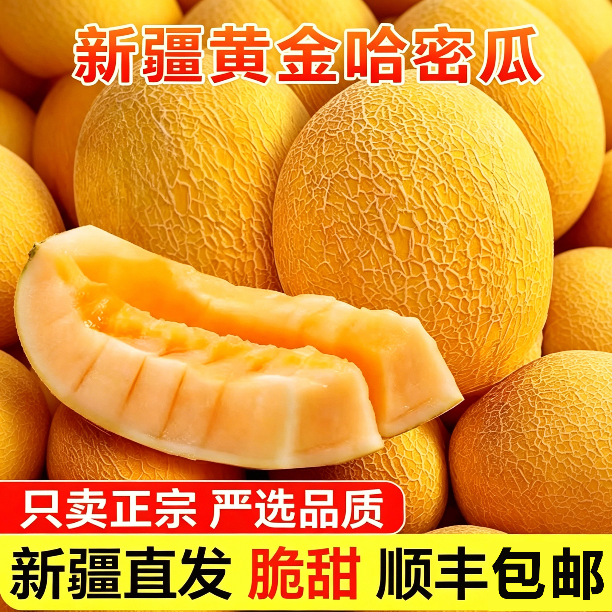 正宗新疆哈密瓜金色年华现摘脆甜多汁产地直发严选品质坏果包赔
