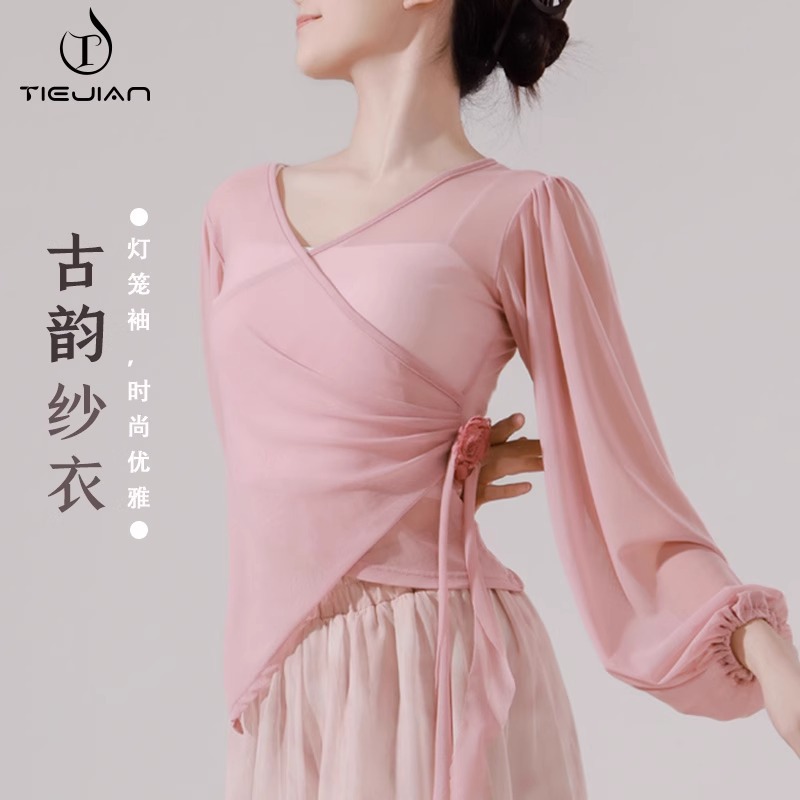 舞蹈服女成人现代舞服中国古典飘逸长袖修身形体练功跳舞上衣