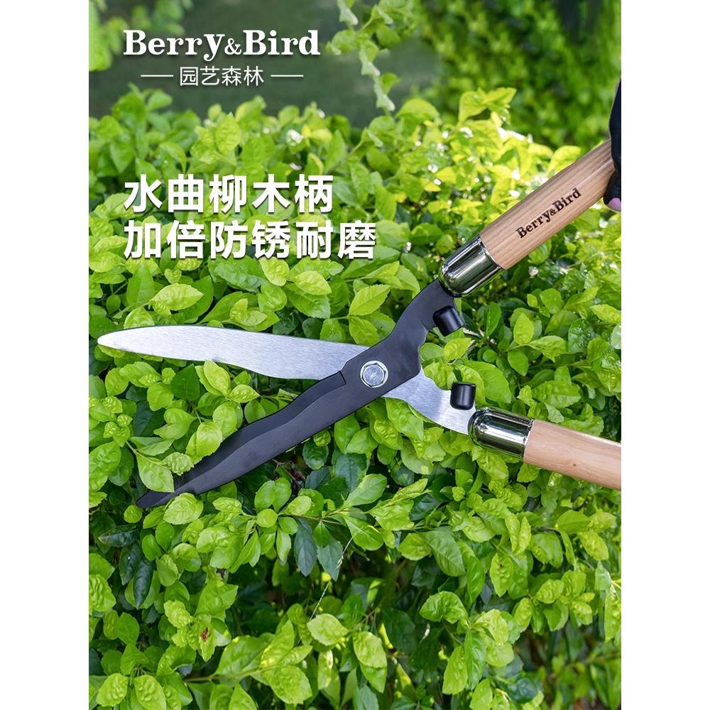 berry&bird园艺绿篱剪草坪修剪粗枝花艺果树大剪刀家用园林绿化带