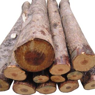 红豆杉原木料树段正宗天然工艺红豆杉手串佛珠木雕茶杯长50cm包邮