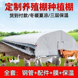 养殖大棚全套大棚骨架拱棚支架保温养鸡棚羊棚牛棚养猪大棚种植棚