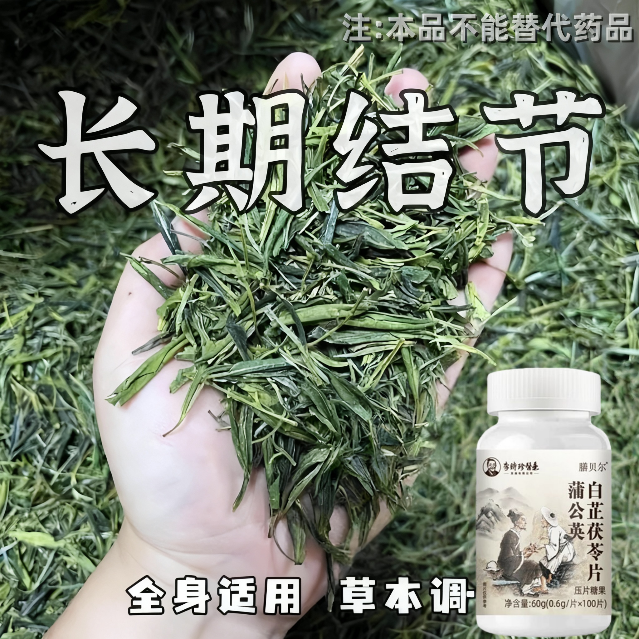 体内结石多】正品鸡内金菊苣小蓟片堵塞用尿石胆石中 材提取