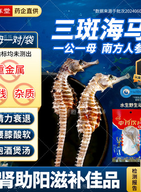 三斑海马干货中药材温肾助阳泡酒田七煲汤大公母配对抓配一公一母
