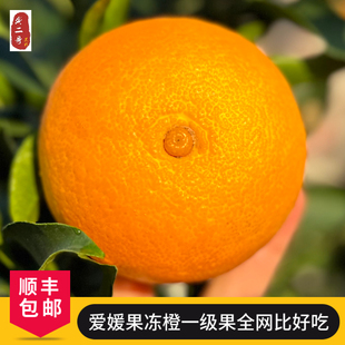 四川爱媛38号果冻橙官方旗舰店果园现摘发爱瑷源大果新鲜顺丰包邮