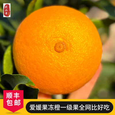 哇噻！爱媛果冻橙向阳果太好吃了