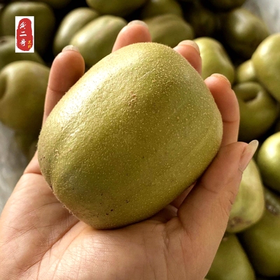 顺丰蒲江高山红心猕猴桃包甜包熟