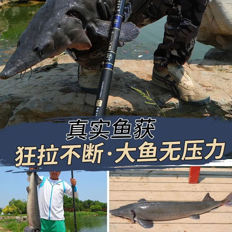 12h19调鱼竿超轻超硬巨物杆轻量大物竿野钓竿鲢鳙杆黑坑竿