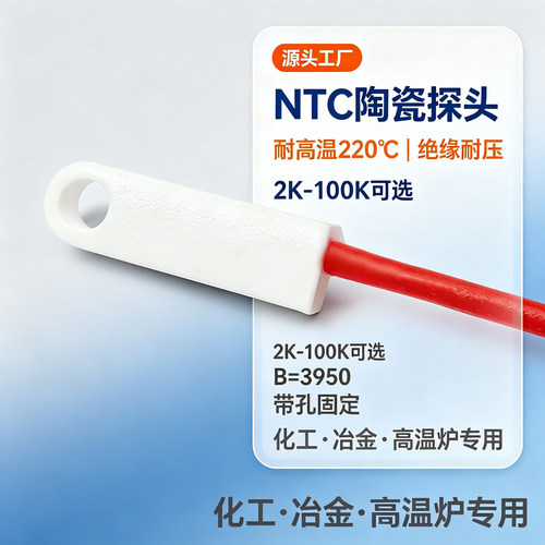 NTC耐高温陶瓷绝缘探头可定制