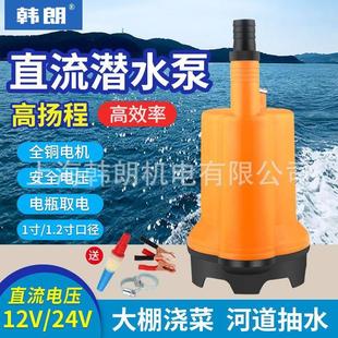 直流小型潜水泵12V24V可抽海水浇菜浇花农用船用电瓶直流清水泵