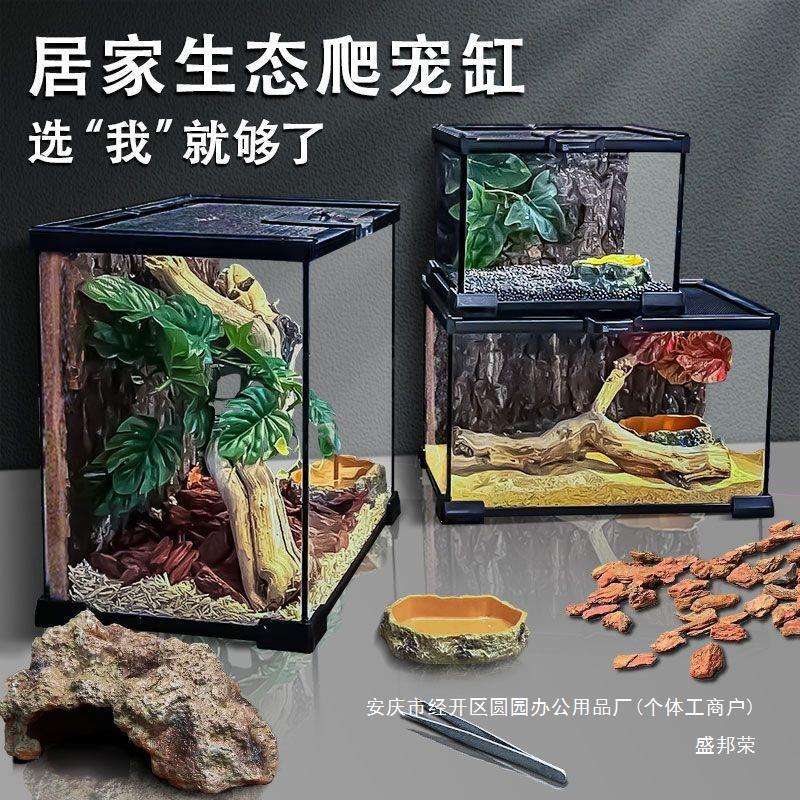 甲虫水族乌龟蜥蜴鱼缸盒角蛙饲养箱缸缸陆龟玻璃爬虫蛇爬爬宠中国