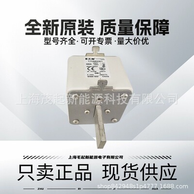 170M6081 170M6810D 170M6811D 170M8554D 170M8550 巴斯曼熔断器