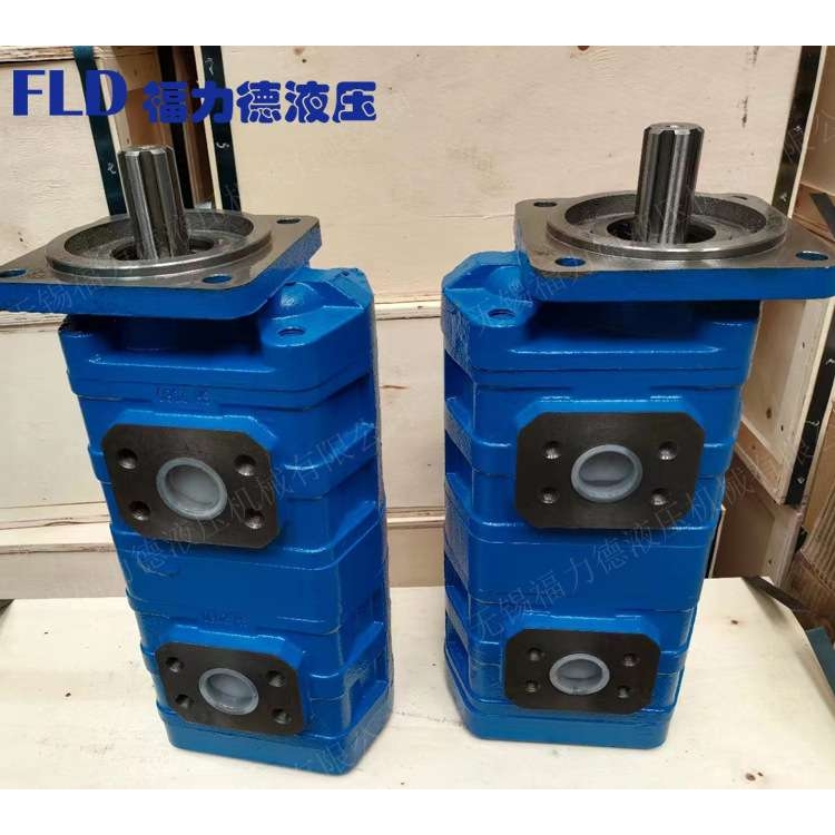 福力德CBG2080/2063-BFX,CBG2080/2032-BFX双联高压齿轮油泵