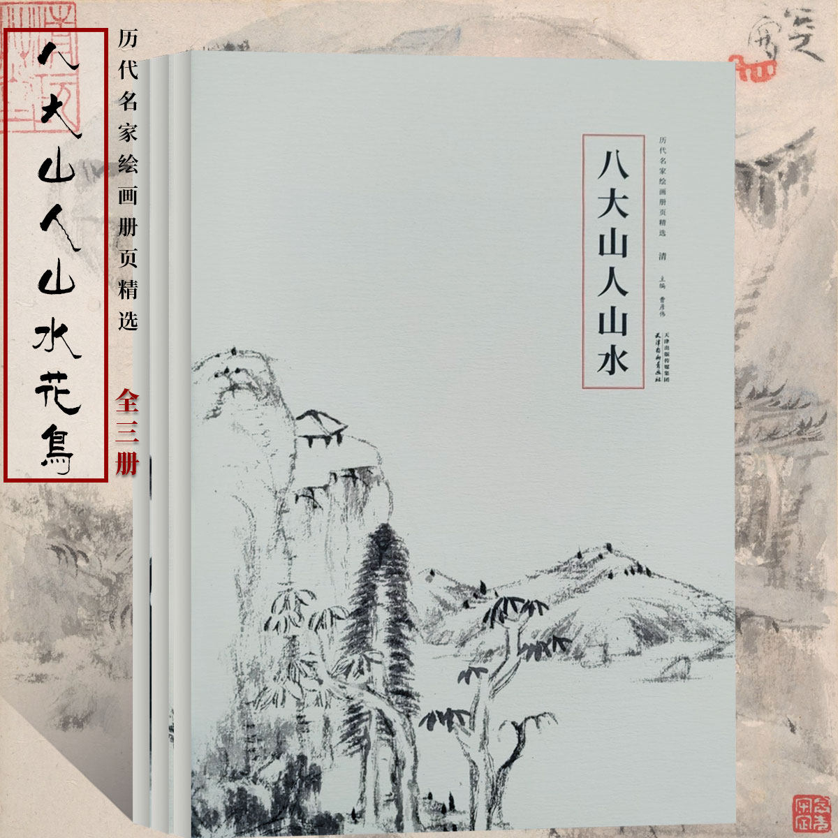 历代名家绘画册页精选 八大山人写意水墨山水画临摹技法大写意花鸟画 国画初学者基础入门教程山水花鸟画临摹范本艺术收藏鉴赏画集