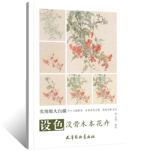 原大版-设色没骨木本花卉 没骨花鸟画线描白描底稿临摹素材 国画初学者基础入门教材设色步骤 木本花卉兼工带写素描白描摹本绘画书