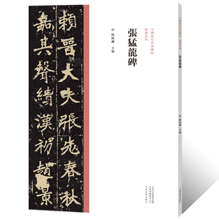 毛笔书法初学者基础入门教程技法 中国历代经典 张猛龙碑墨迹临摹字帖 碑帖楷书系列 楷书法篆刻原碑贴拓片艺术鉴赏临摹法帖练字帖