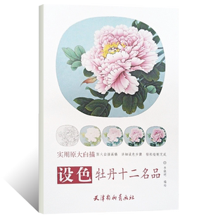 设色牡丹十二名品(实用原大白描)李晓明绘工笔画牡丹底稿白描画稿扇面画团扇画技法线描临摹范本画册国画基础教程书籍步骤详解