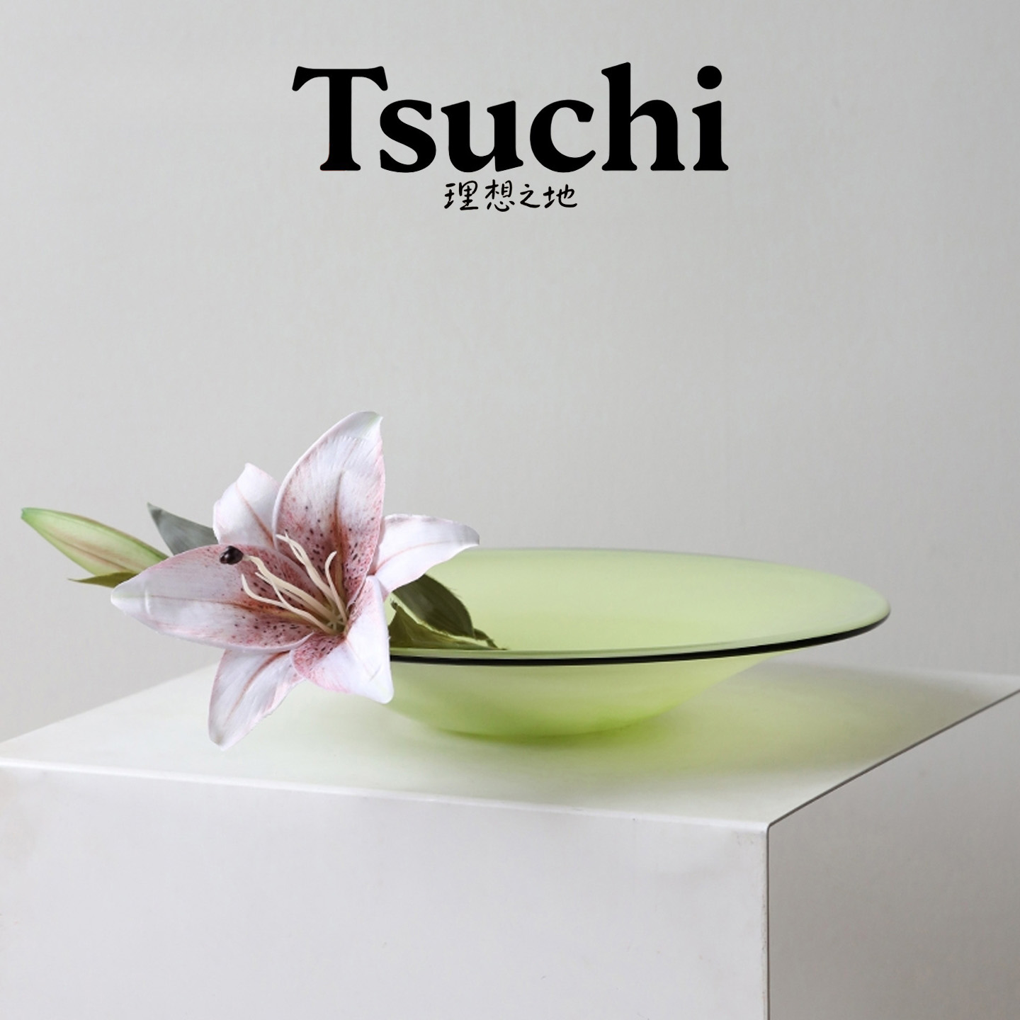 玻璃水果盘客厅茶几家用高端精致高颜值特别好看新款零食盘子轻奢