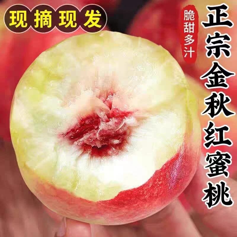 头茬金秋红桃脆甜多汁当季新鲜现摘突围水蜜桃大毛桃放软桃顺丰