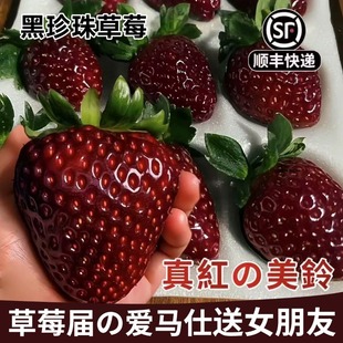 【空运包邮】真红美玲草莓黑美人日本黑珍珠黑草莓新鲜水果礼盒装