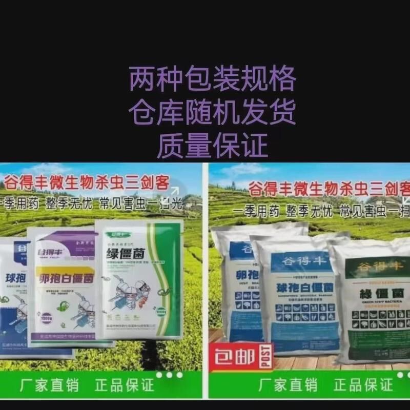 球得丰球孢白僵菌农业用微生物菌剂150亿原粉T金龟子蛴螬谷孢白