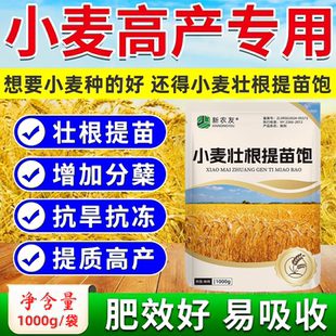 小麦壮根提苗饱小麦高产肥生根壮苗控旺增产分蘖抗倒伏缩节新农友