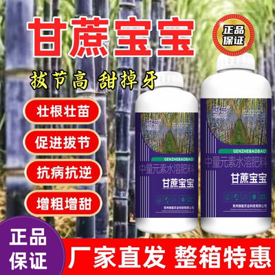 甘蔗宝宝拉长增甜剂甘蔗增粗增糖膨大拉直甘蔗壮增产粗壮生长骠骑