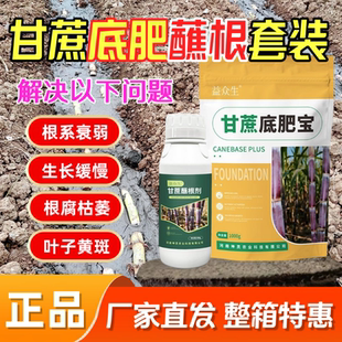 甘蔗双效套餐底肥蘸根双结合改善土壤茎杆粗壮增收微生物肥益众生