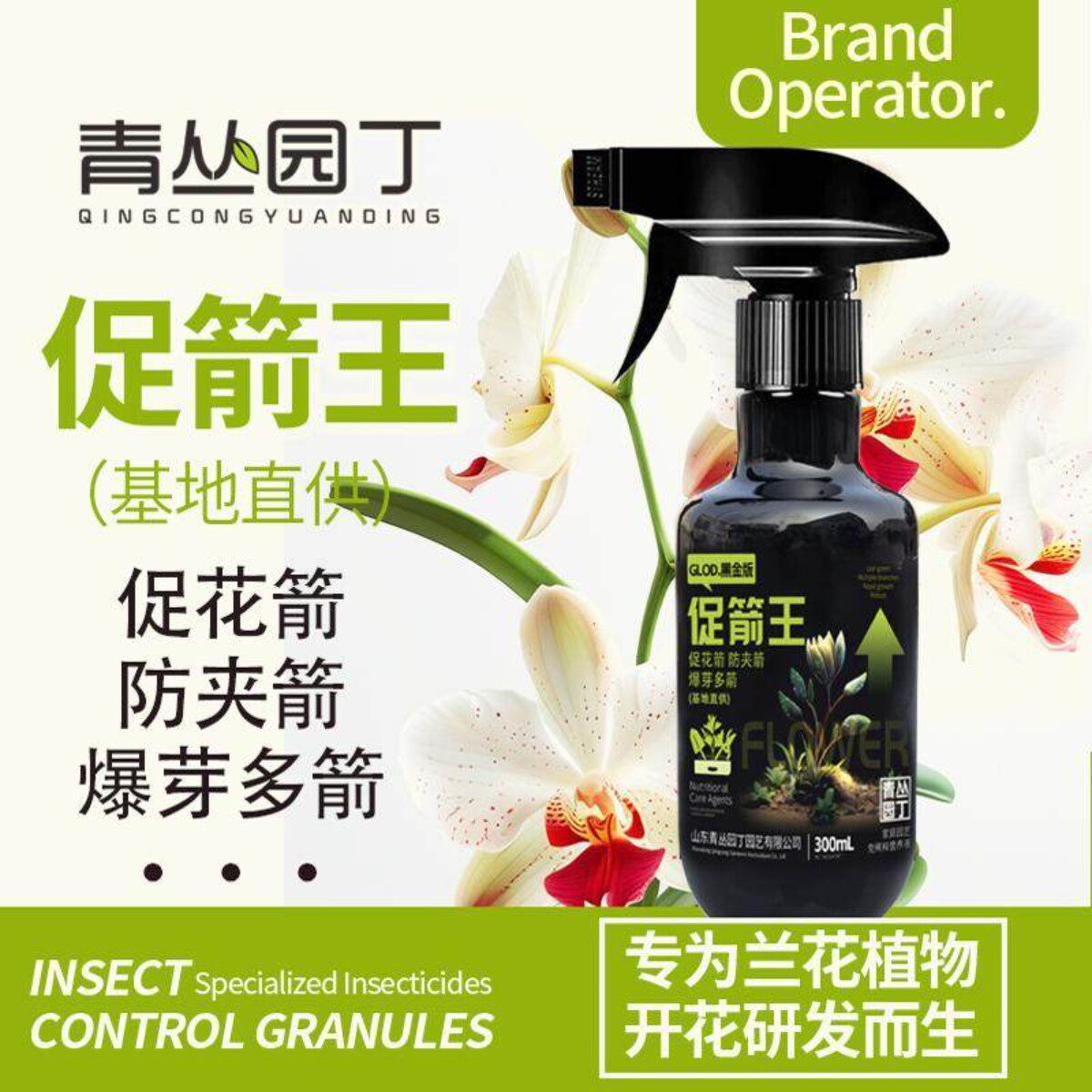 青丛园丁促箭王基地兰花开花专用蝴蝶兰促花箭防夹箭爆芽多箭图片