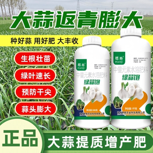 绿蒜饱大蒜专用返青复壮防干尖防病害提质增产膨大蒜头叶面肥骠骑