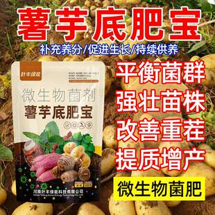 薯芋底肥宝改善重茬调理土壤增产土豆芋头微生物菌底肥宝叶丰绿能