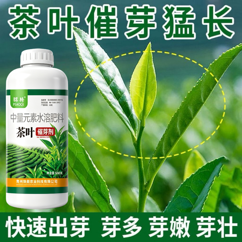 茶叶催芽剂茶树出芽快芽齐芽嫩叶片厚提高品质提早上市壮芽素骠骑