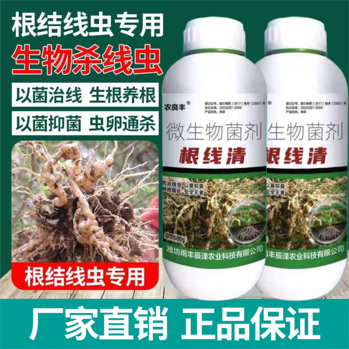 根线清淡紫紫孢菌长枝木霉菌根线虫根瘤菌根腐病专用药菌肥农良丰
