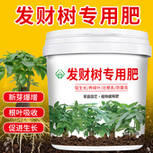 生根壮苗叶片光泽盆栽花卉有机颗粒营养缓释肥料 发财树专用肥
