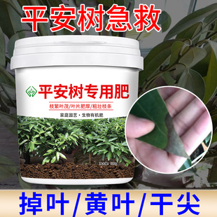【平安树专用肥料】绿植室内盆栽家用营养型发财树花肥颗粒缓释肥