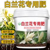 白兰花专用肥料兰花颗粒缓释肥家用室内养花氮磷钾有机肥复合肥