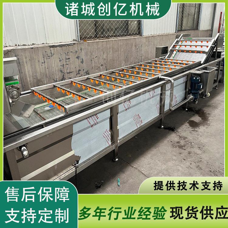 橄榄清洗机槟榔清洗风干机折耳根气泡清洗机厂家供应