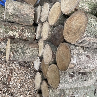 金丝楠木木料边角料四川小叶桢楠木料佛珠料diy料雕刻料手把件料