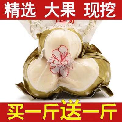 兰州百合新鲜甜百合三头皇500g食用甘肃白合特产级干货