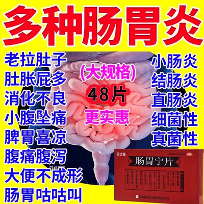 【四方箄】肠胃宁片300mg*48片/盒