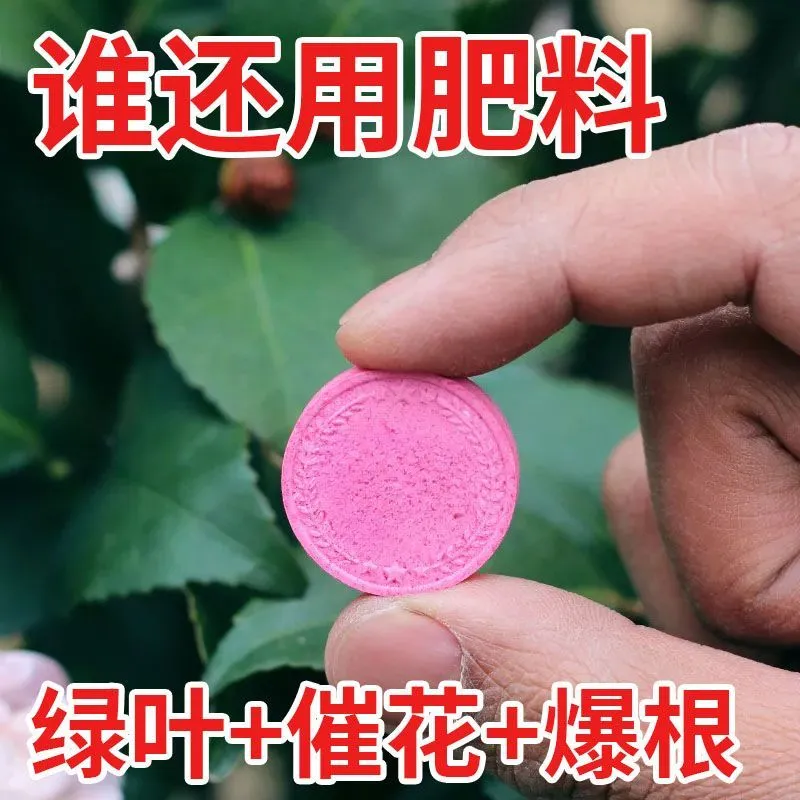 植物营养片通用型好运来花满簇花卉缓释片绿植肥料氮磷钾复合家用