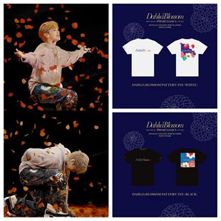 张敬轩2024澳门演唱会周边同款纯棉印花短袖T恤上衣服