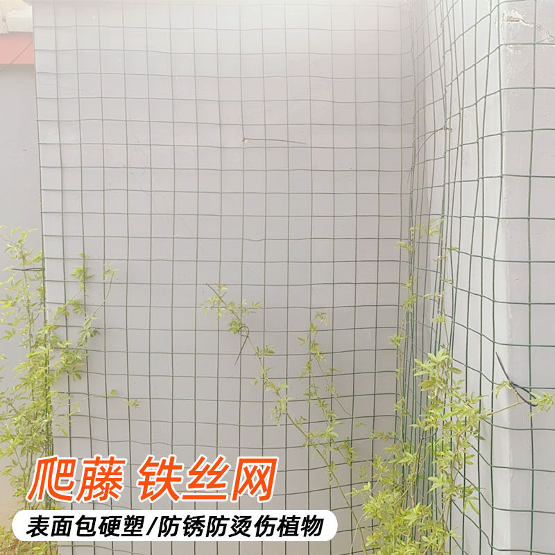 月季花墙爬藤网 植物爬藤网 花卉爬藤铁丝网 花墙网格 蔷薇上墙网