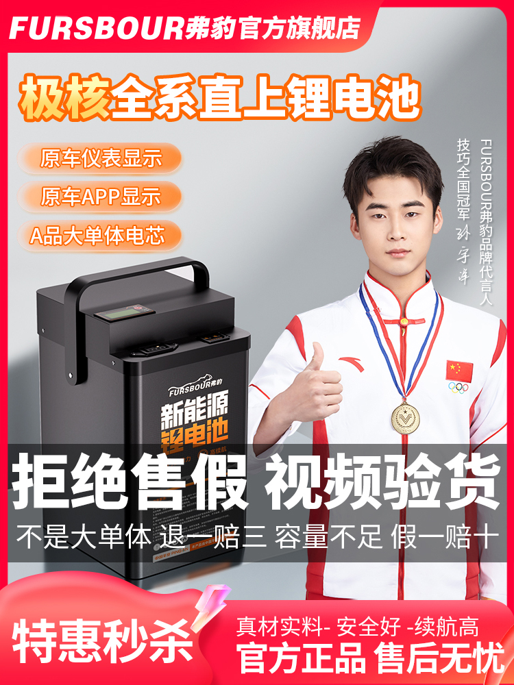 弗豹极核电动车AE2/AE4i/AE4SEEZ3iAE8S+AE5ipro48V72V全系锂电池