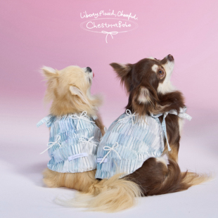 「限定」ChestnutBabe Peppermint泡泡吊带裙 原创甜美宠物服装