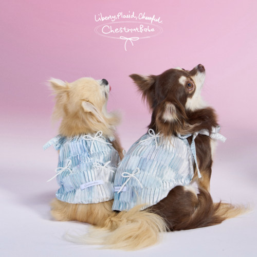 「限定」ChestnutBabe Peppermint泡泡吊带裙 原创甜美宠物服装