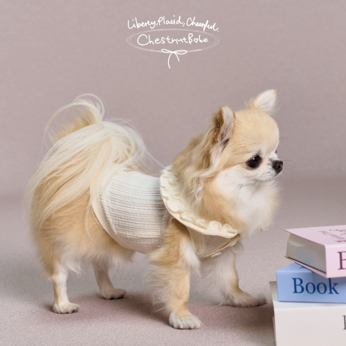 ChestnutBabe CloudyDays花边领针织毛衣 原创秋冬狗狗保暖衣服