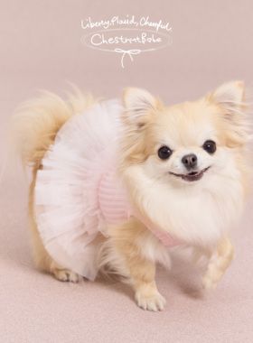 ChestnutBabe Ballerina烫钻蓬蓬裙 原创狗狗可爱宠物衣服吊带裙