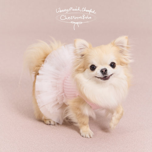 ChestnutBabe Ballerina烫钻蓬蓬裙 原创狗狗可爱宠物衣服吊带裙